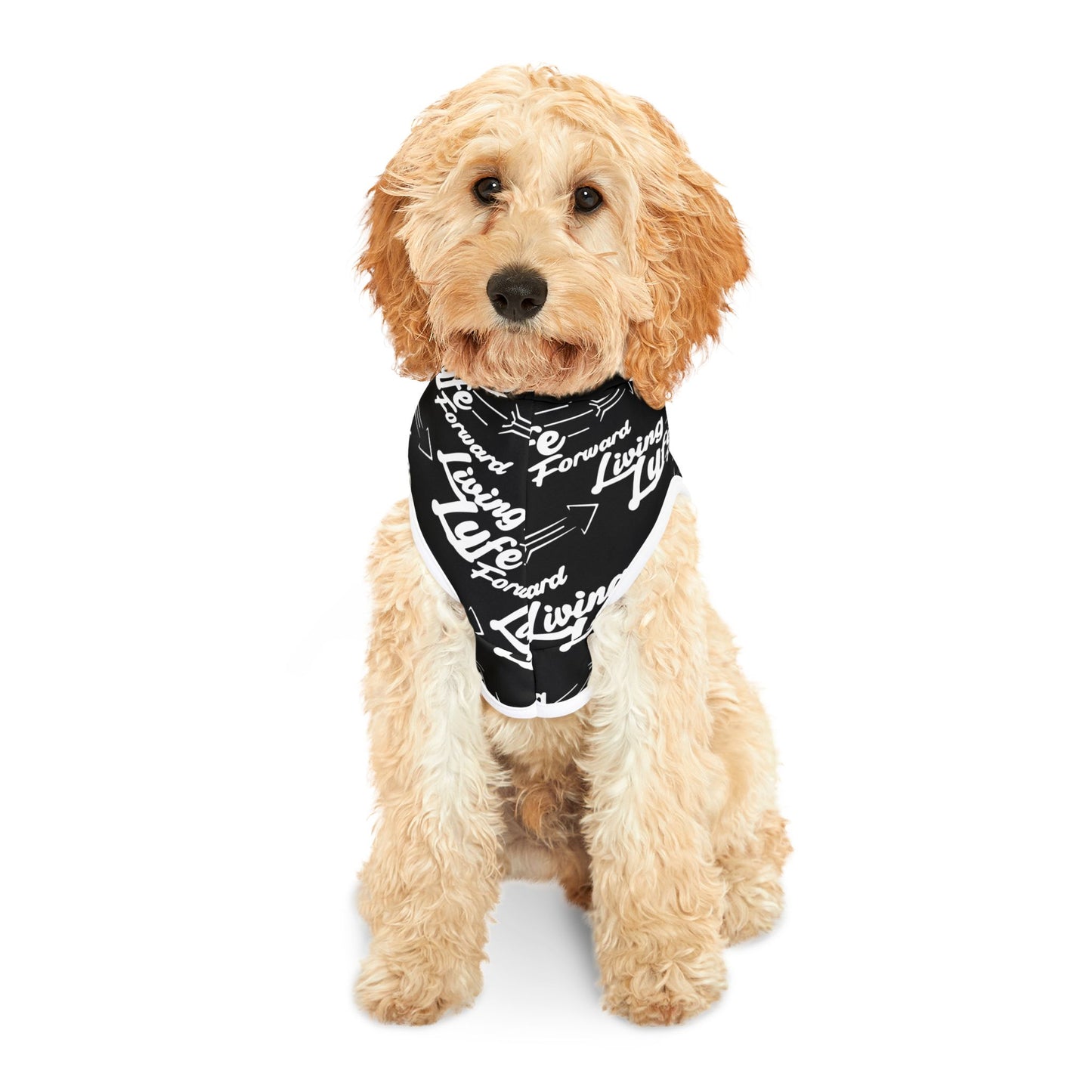 Living Lyfe Black Pet Hoodie -